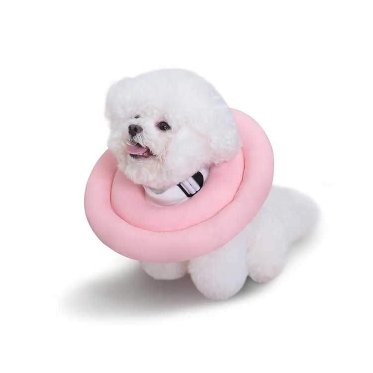 สุนัขฟื้นฟู Elizabeth Cone Collar Elizabethan Cat Cat Collar